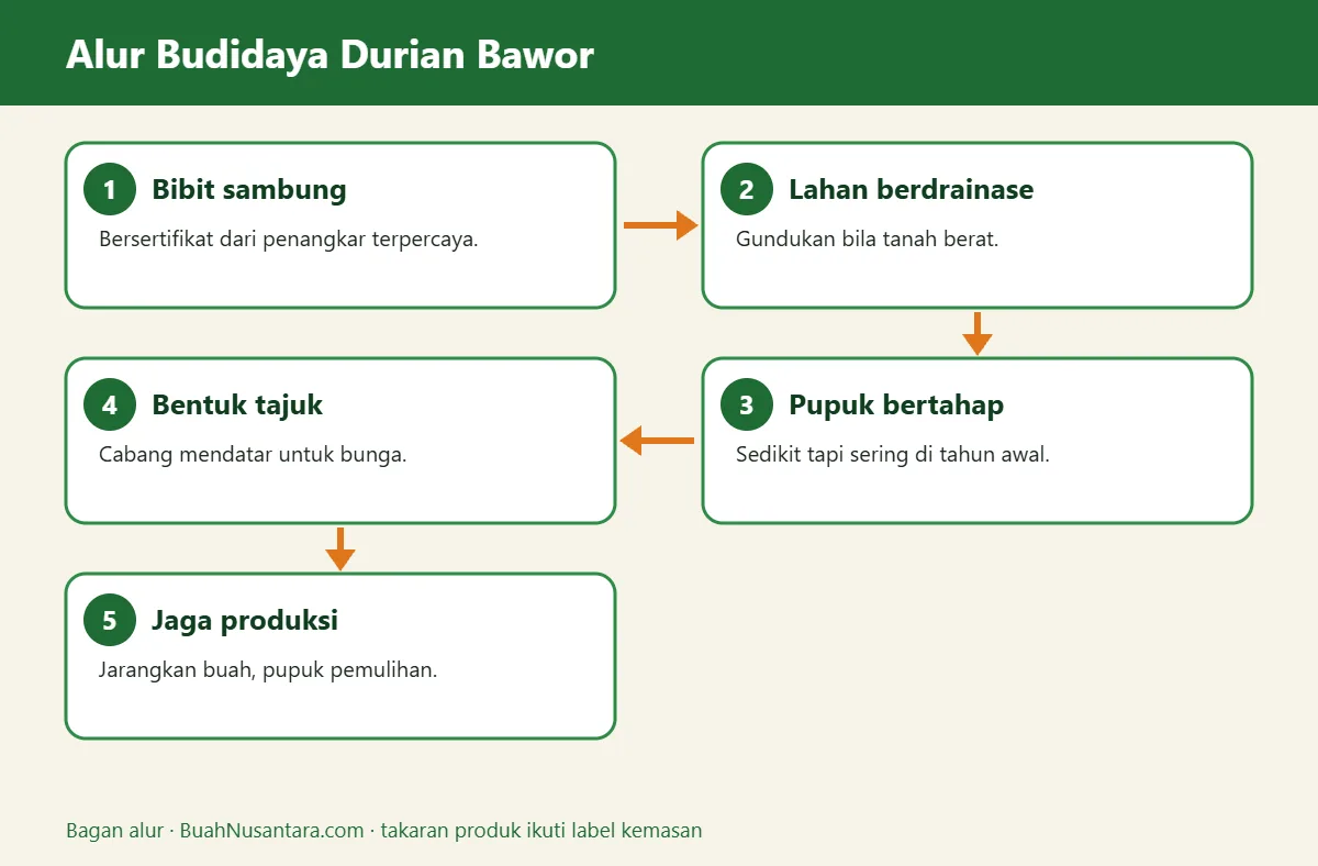Bagan alur durian bawor