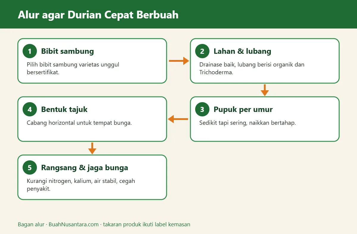 Bagan alur durian cepat berbuah