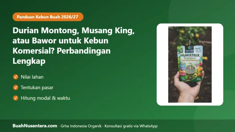 JANGAN Rugi Modal! Musang King vs Montong vs Bawor: Perbandingan Lengkap untuk Kebun Durian Komersial