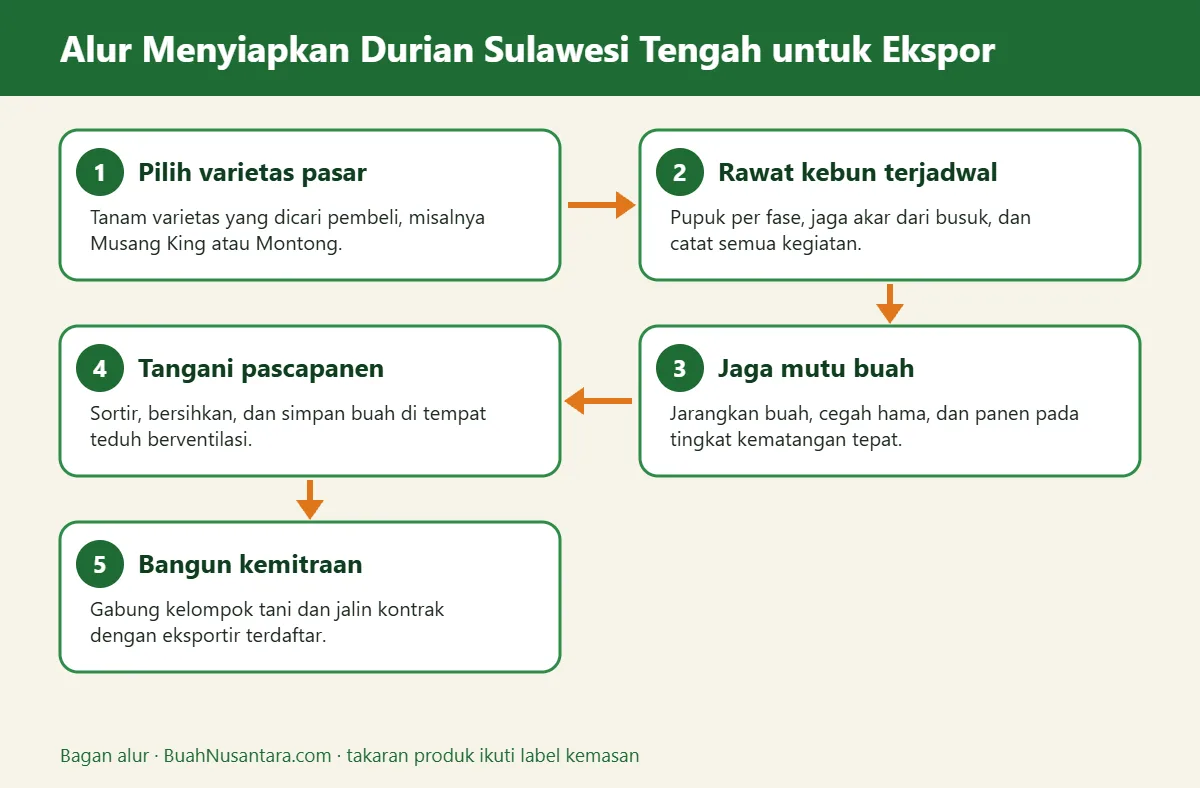Bagan alur durian sulawesi tengah