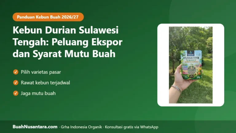 PELUANG Ekspor Terbuka! Kebun Durian Sulawesi Tengah: Syarat Mutu Buah agar Dilirik Eksportir