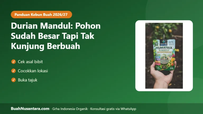 POHON Besar Tak Kunjung Berbuah? Durian Mandul karena 6 Penyebab Ini dan Program Perbaikannya