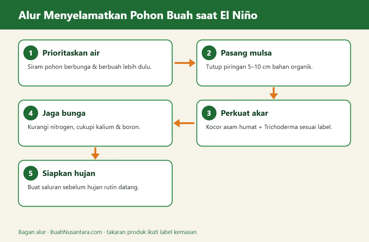 Bagan alur el nino tanaman buah
