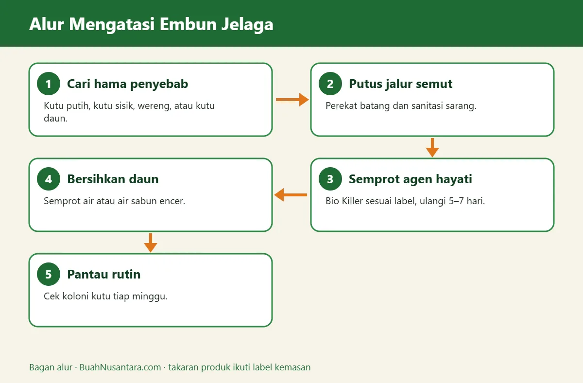 Bagan alur embun jelaga