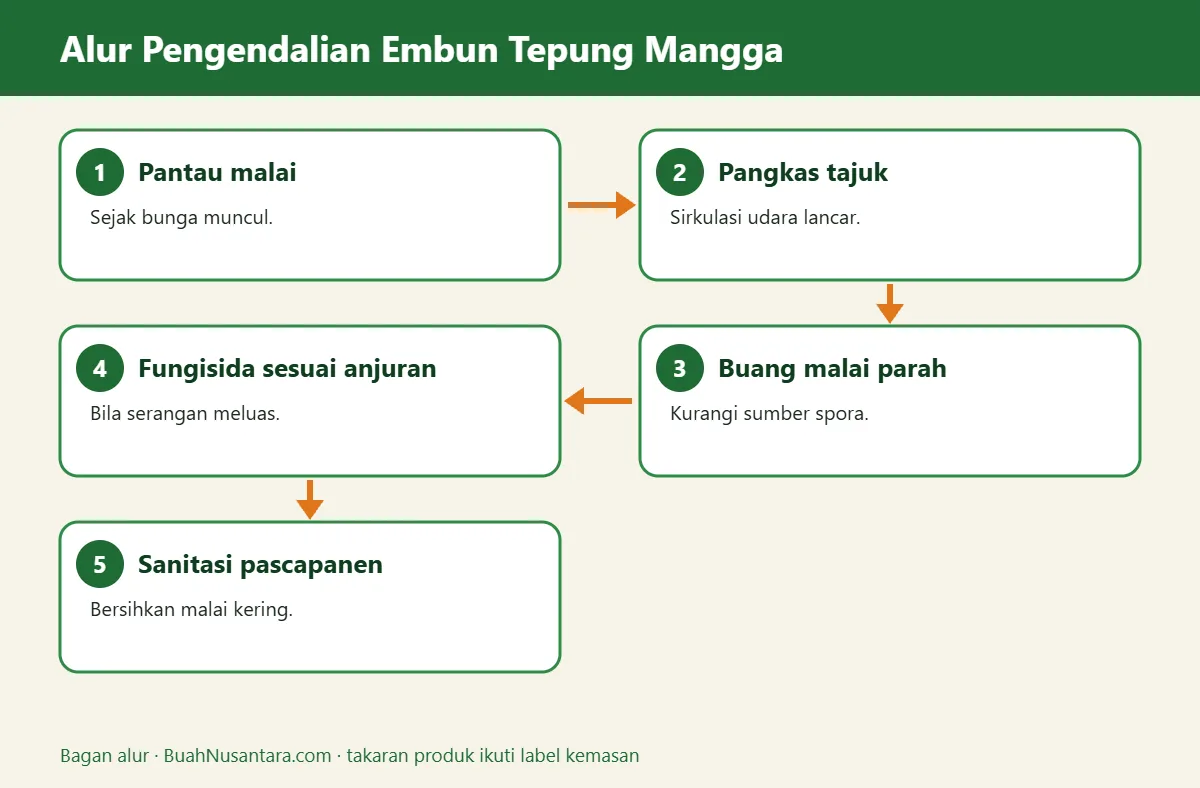 Bagan alur embun tepung mangga