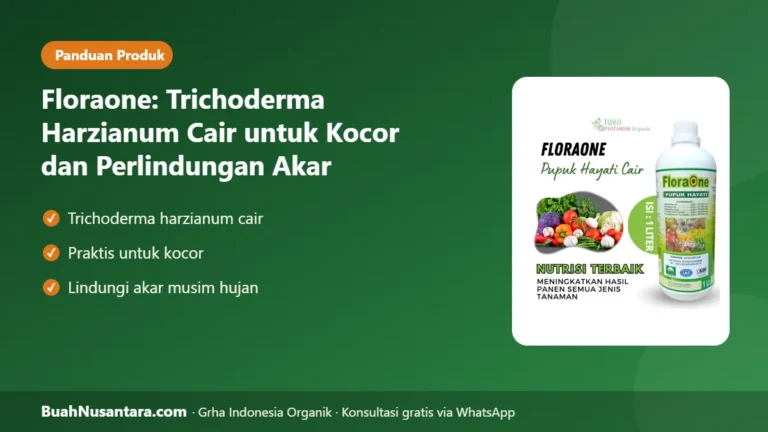 TRICHODERMA CAIR Praktis! Floraone untuk Kocor dan Perlindungan Akar Saat Musim Hujan