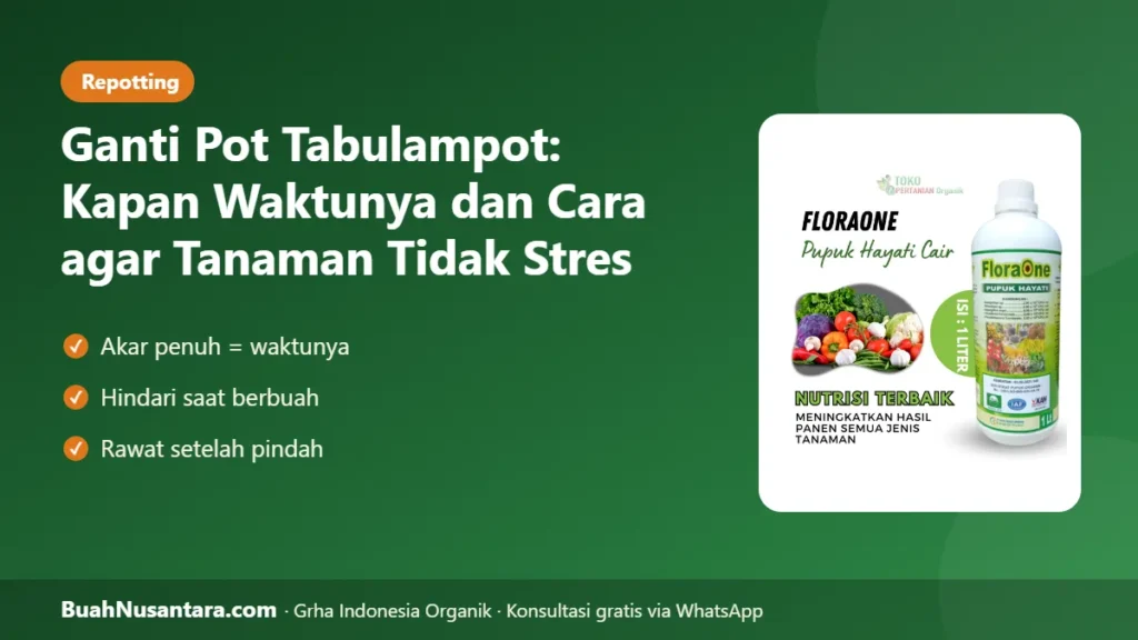 Ganti pot tabulampot