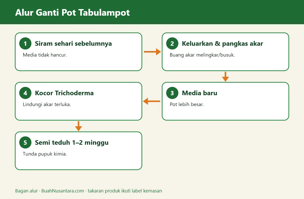 Bagan alur ganti pot tabulampot