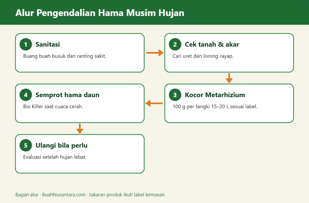 Bagan alur hama musim hujan