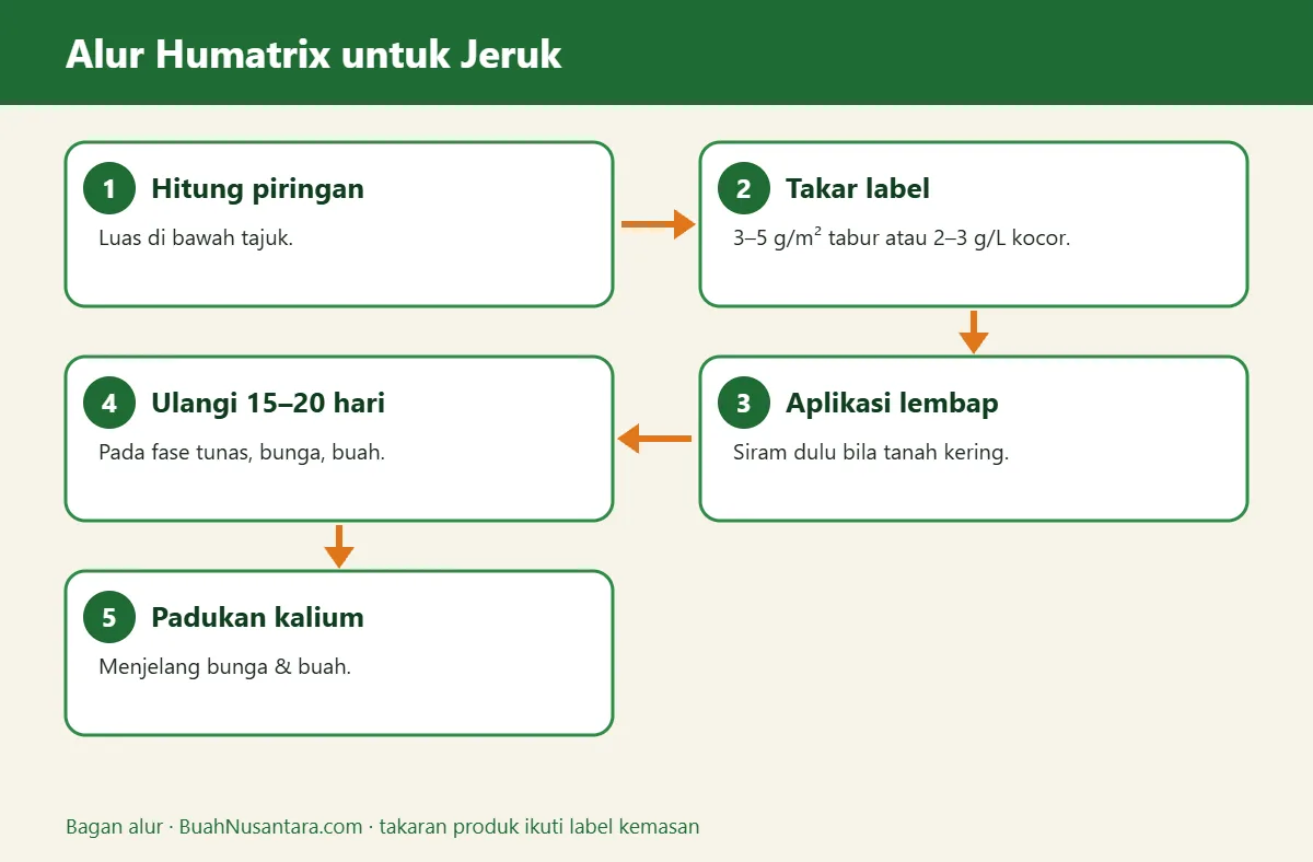 Bagan alur humatrix untuk jeruk