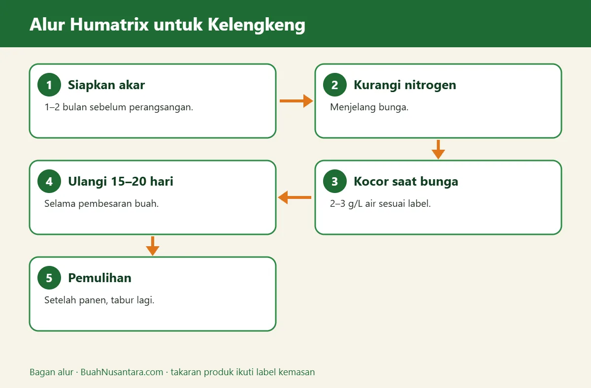 Bagan alur humatrix untuk kelengkeng