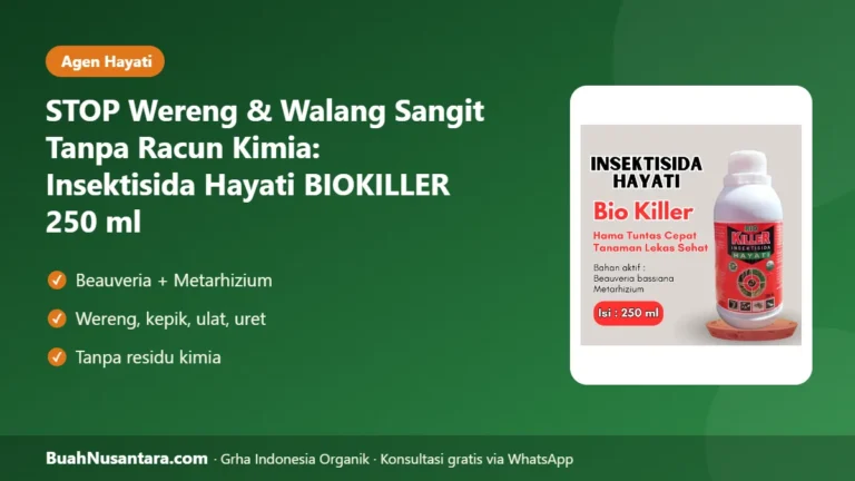 STOP Wereng & Walang Sangit Tanpa Racun Kimia: Insektisida Hayati BIOKILLER 250 ml