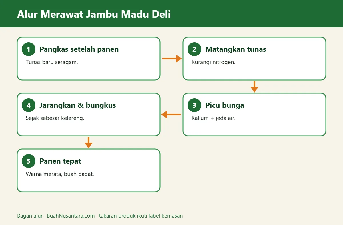 Bagan alur jambu madu deli