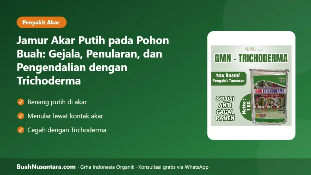 Jamur akar putih