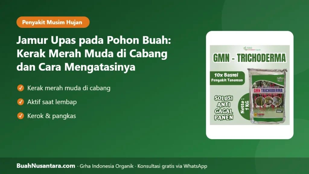 Jamur upas