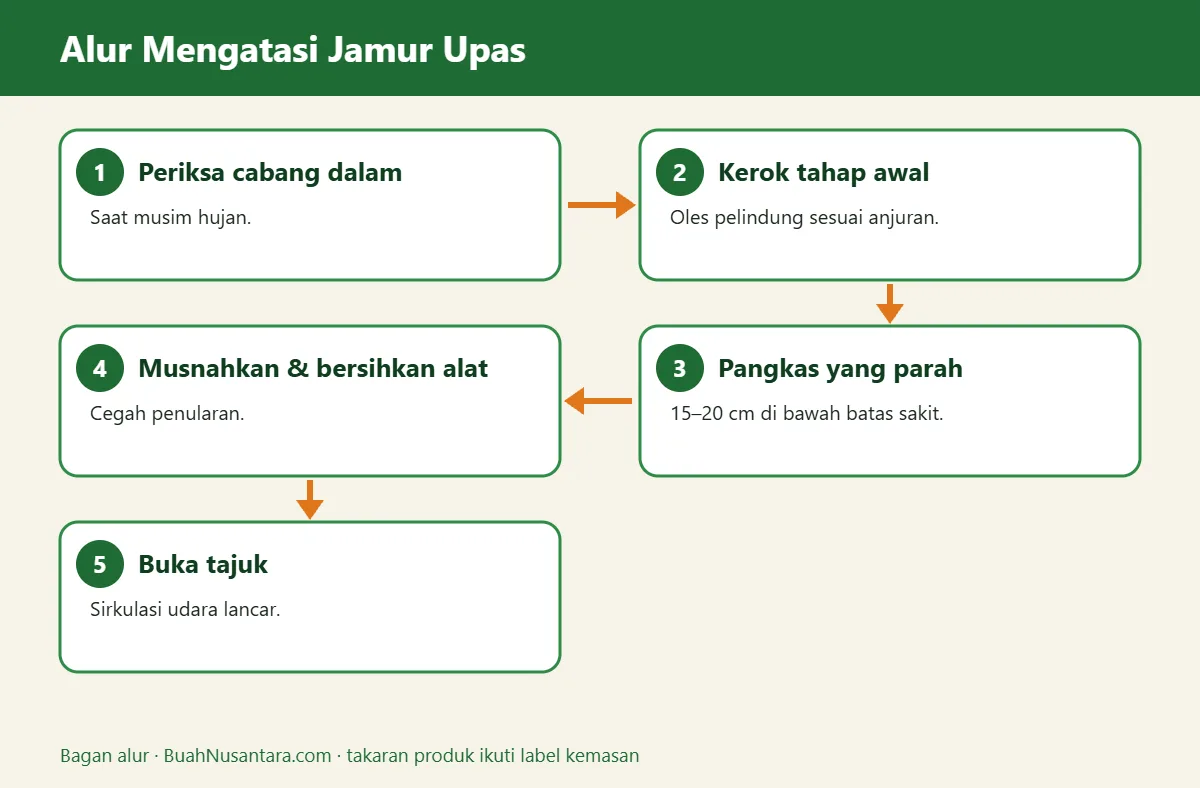 Bagan alur jamur upas