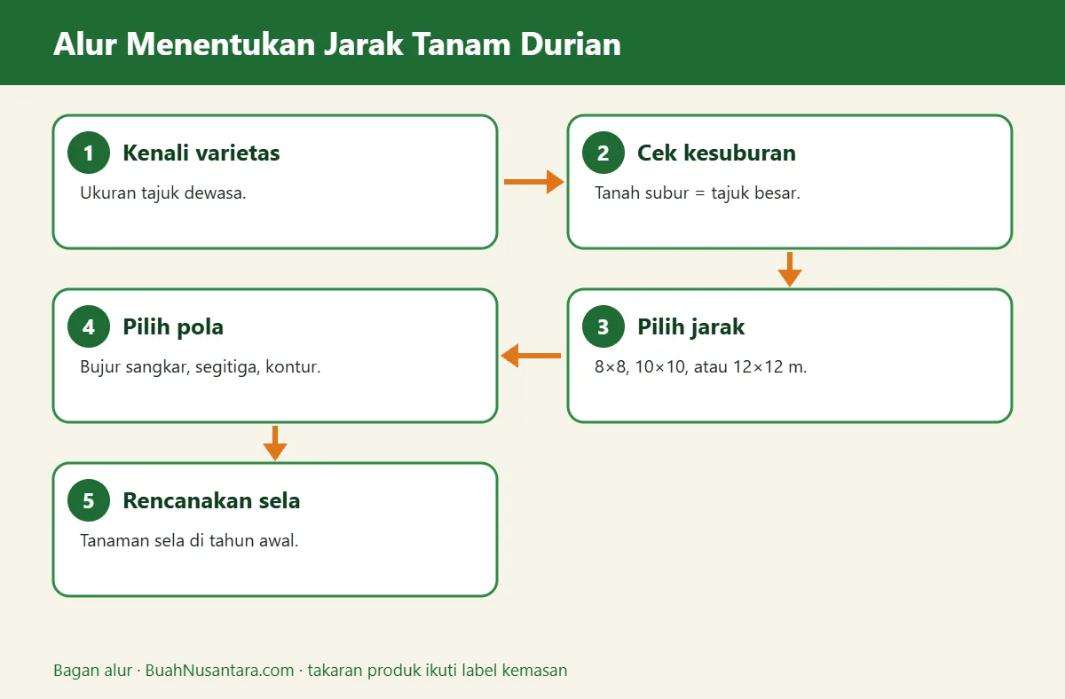 Bagan alur jarak tanam durian