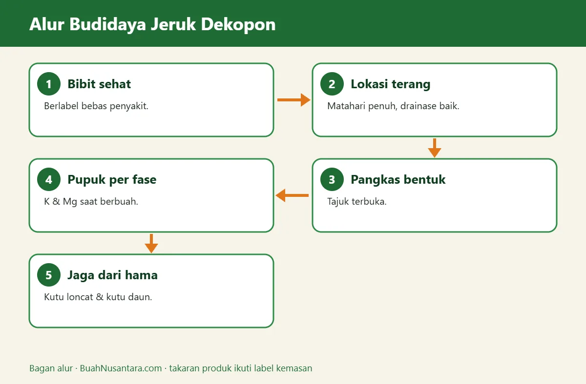 Bagan alur jeruk dekopon