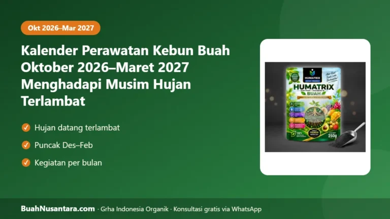 JADWAL WAJIB Petani Buah! Kalender Perawatan Kebun Okt 2026–Mar 2027 Menghadapi Hujan Terlambat