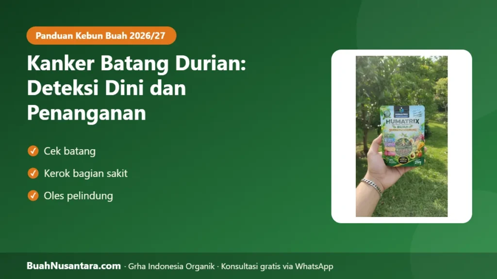 Kanker batang durian