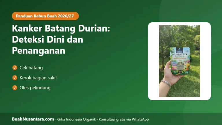 WASPADA Cairan Merah di Batang! Kanker Batang Durian Bisa Mematikan Pohon Produktif, Ini Deteksi Dini & Penanganannya