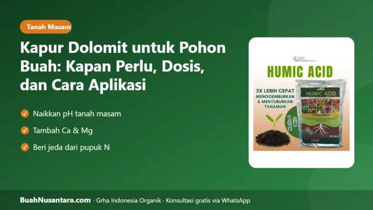 TANAH Masam Akar Lemah! Kapur Dolomit untuk Pohon Buah: Kapan Perlu, Dosis, dan Cara Aplikasi