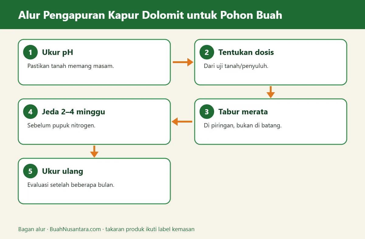 Bagan alur kapur dolomit untuk pohon buah