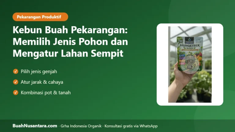 LAHAN SEMPIT Tetap Panen! Kebun Buah Pekarangan: Memilih Jenis Pohon dan Mengatur Lahan