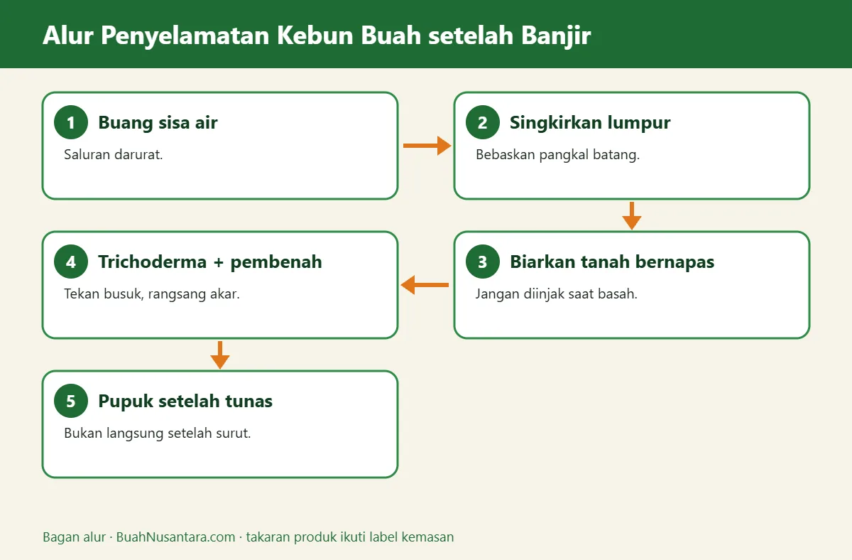 Bagan alur kebun buah tergenang banjir