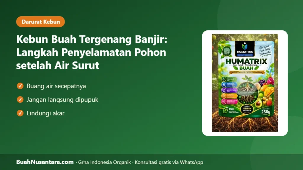 Kebun buah tergenang banjir