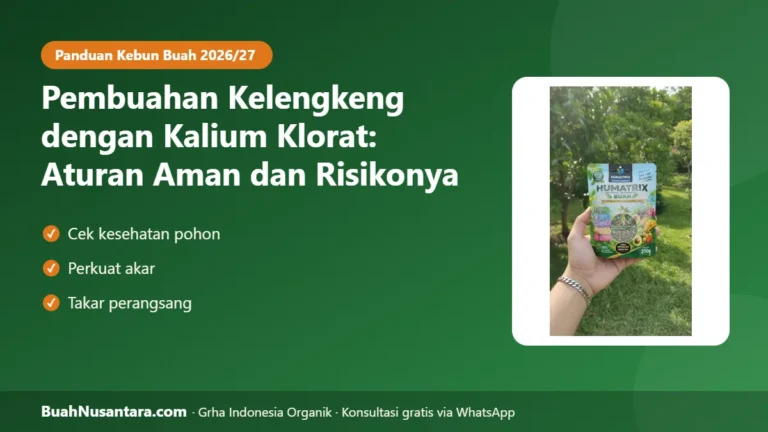 HATI-HATI Pohon Bisa Mati! Kalium Klorat untuk Kelengkeng Cepat Berbuah: Aturan Aman dan Risikonya