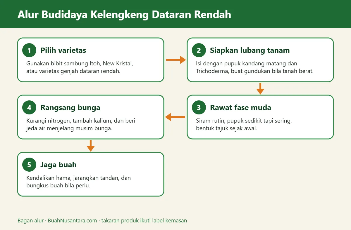 Bagan alur kelengkeng dataran rendah