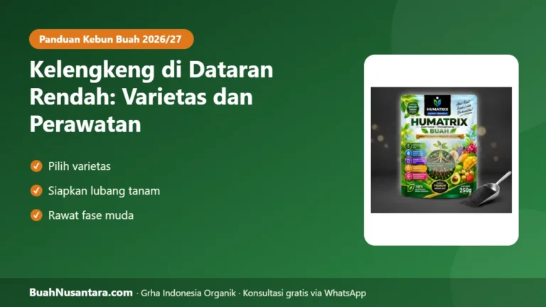 TERBUKTI Bisa Berbuah! Kelengkeng di Dataran Rendah: Varietas Cocok dan Perawatan agar Tidak Mandul