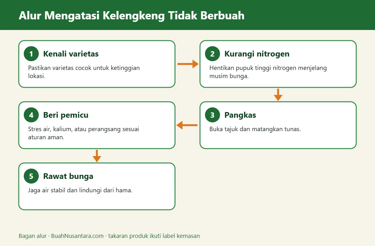 Bagan alur kelengkeng tidak berbuah