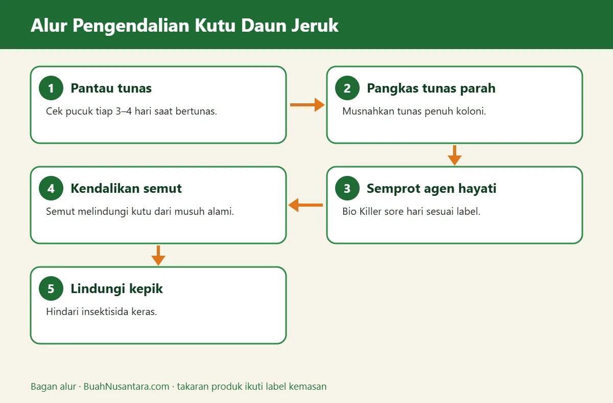 Bagan alur kutu daun jeruk