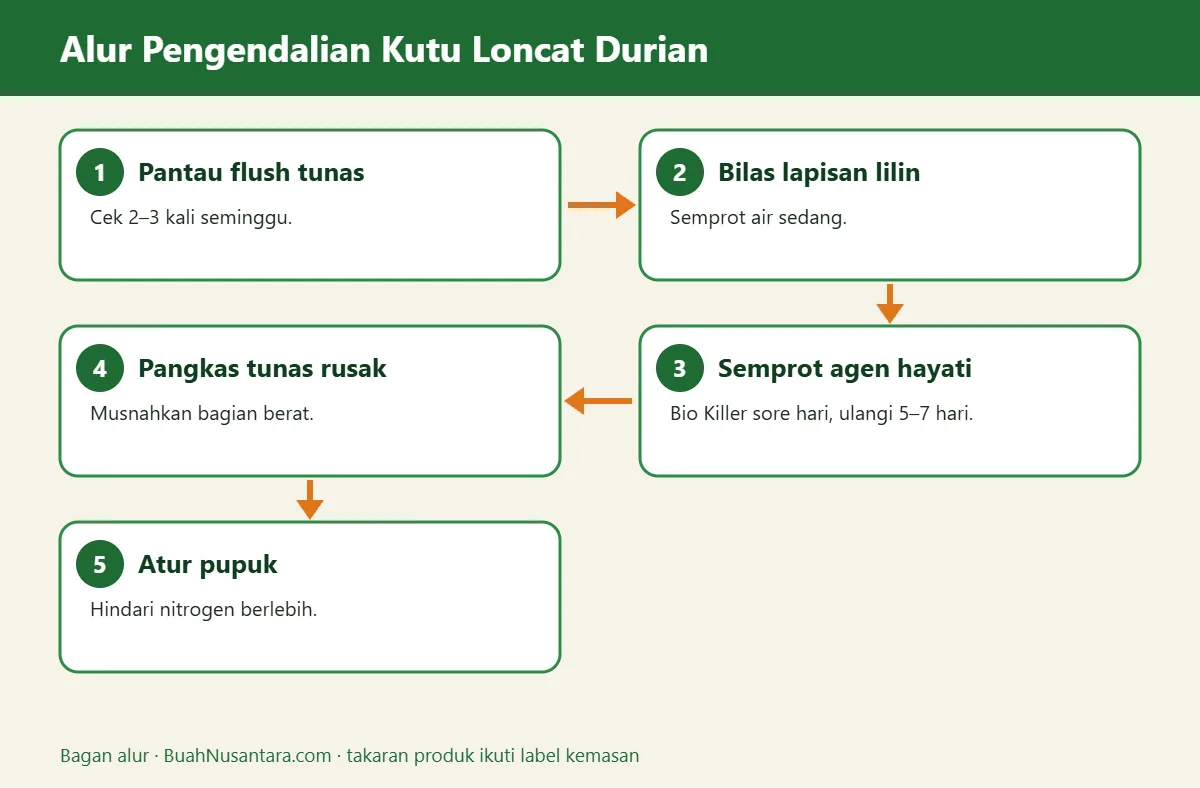 Bagan alur kutu loncat durian