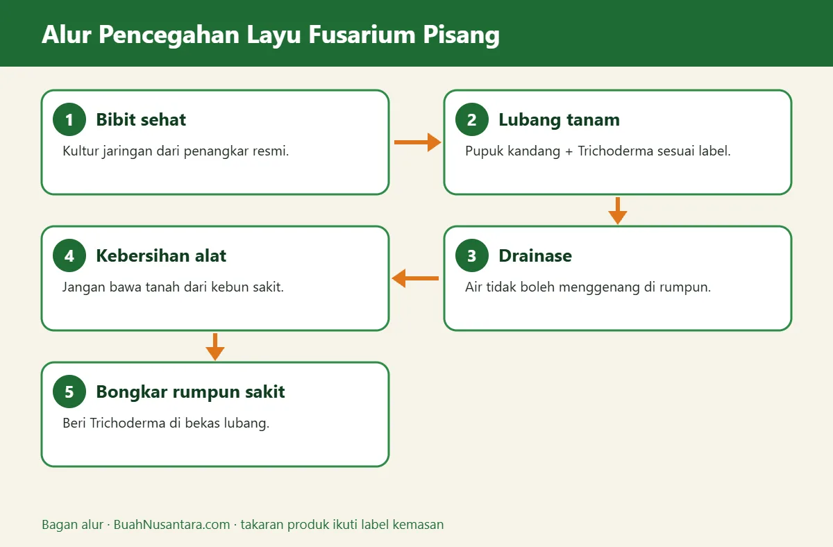 Bagan alur layu fusarium pisang