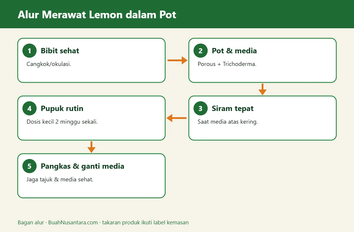 Bagan alur lemon dalam pot
