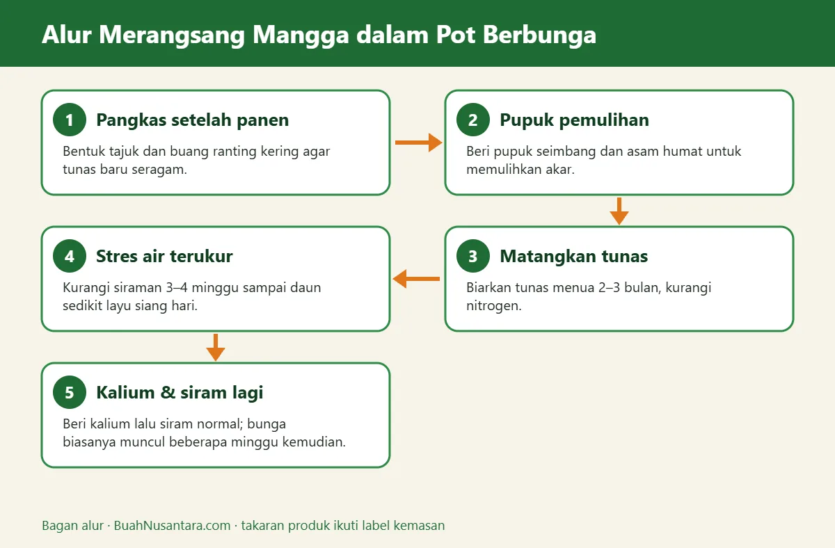 Bagan alur mangga dalam pot