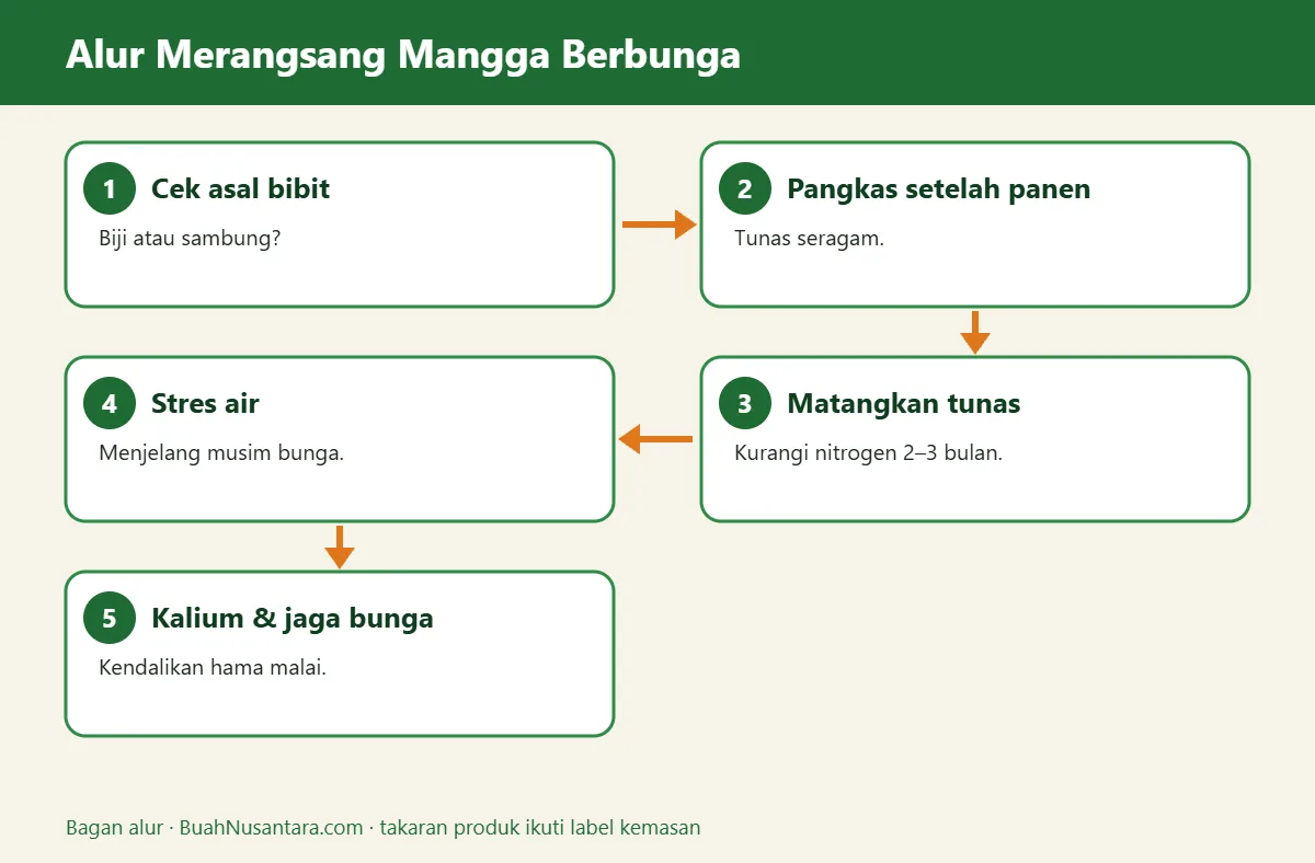 Bagan alur mangga tidak berbuah