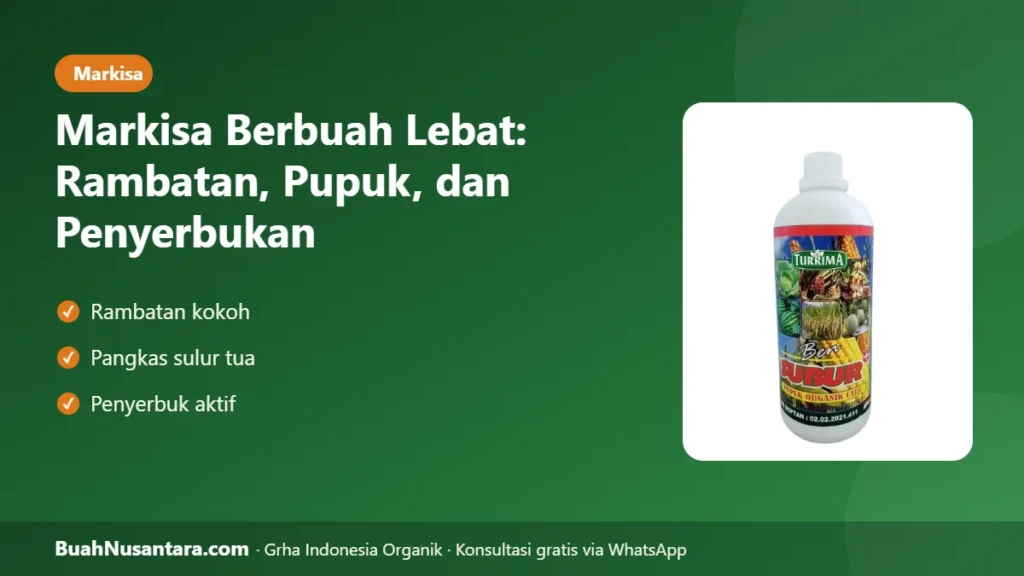 Markisa berbuah lebat