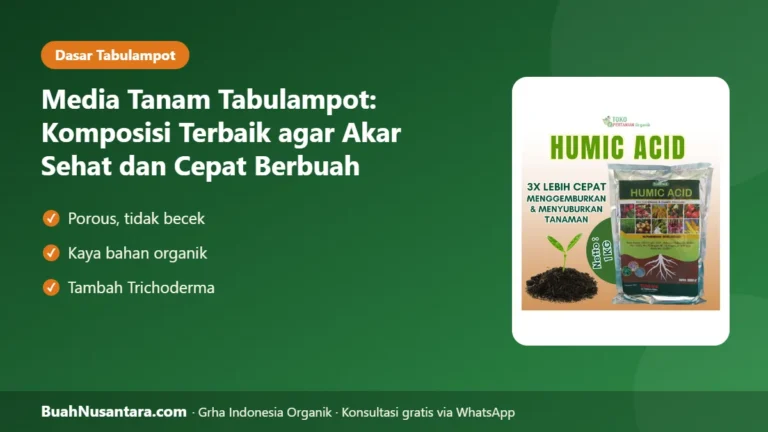 AKAR Busuk karena Media Salah? Komposisi Media Tanam Tabulampot agar Cepat Berbuah