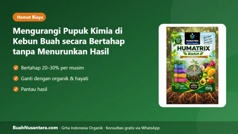 BIAYA Pupuk Turun Hasil Tetap! Mengurangi Pupuk Kimia di Kebun Buah secara Bertahap