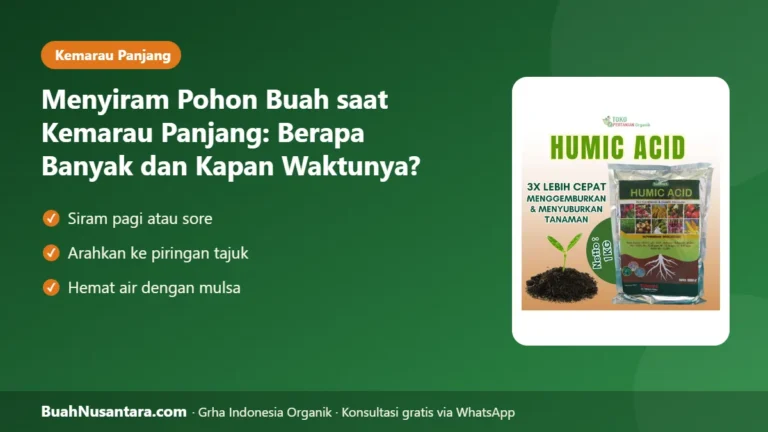 JANGAN Asal Siram! Menyiram Pohon Buah saat Kemarau Panjang: Takaran Liter per Pohon dan Waktunya