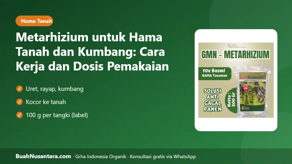 Metarhizium untuk hama
