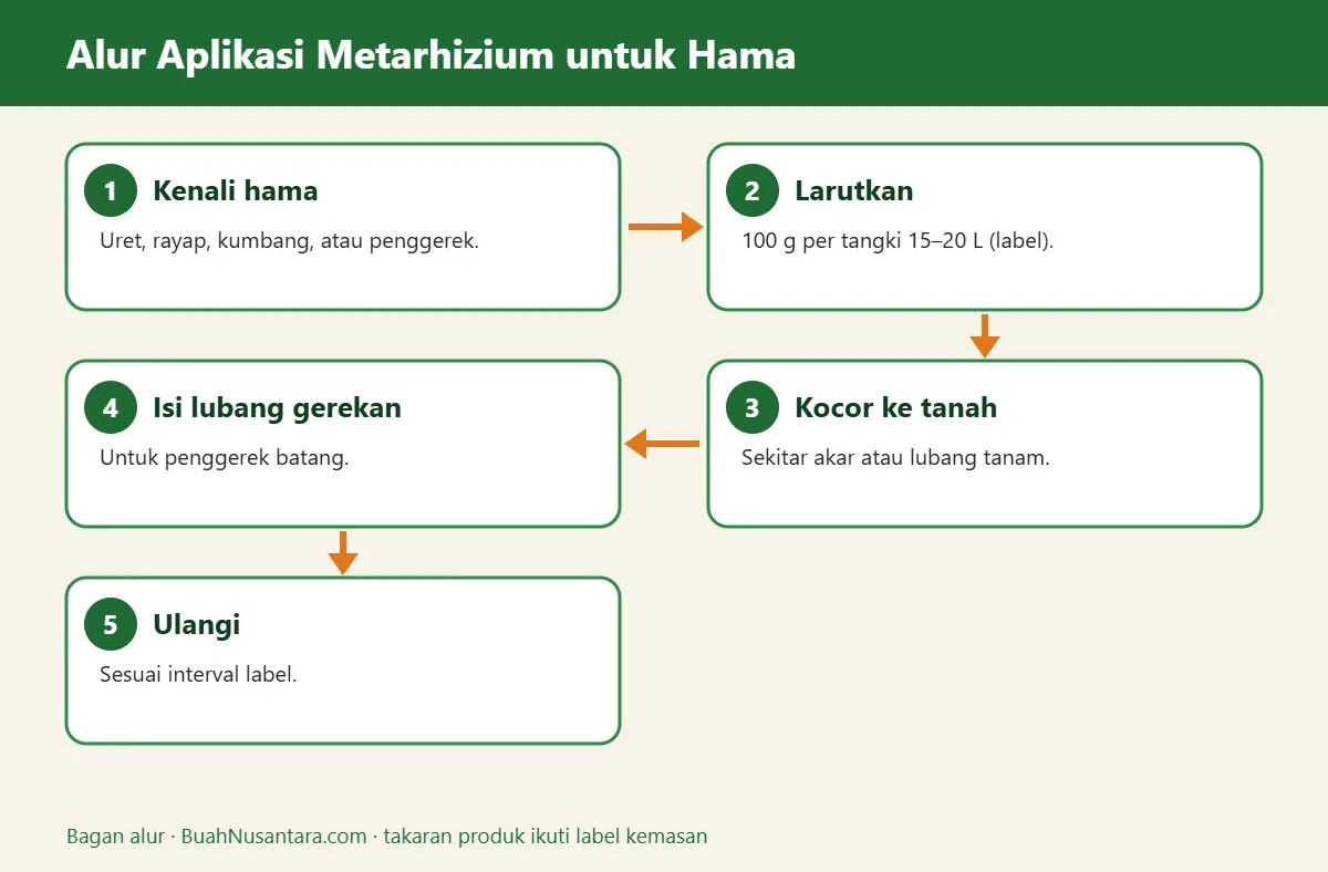 Bagan alur metarhizium untuk hama