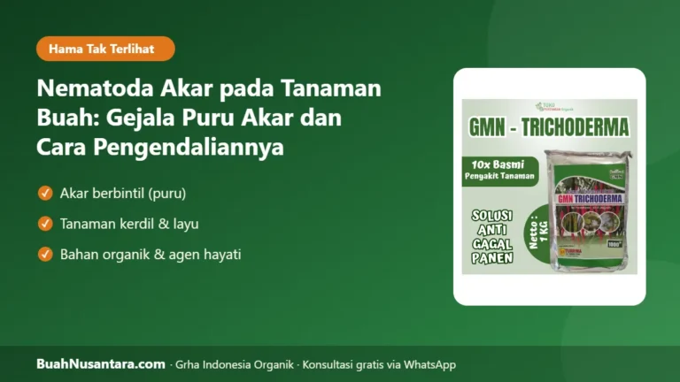 TANAMAN Kerdil Meski Dipupuk? Nematoda Akar Penyebabnya, Kenali Puru Akar dan Pengendaliannya