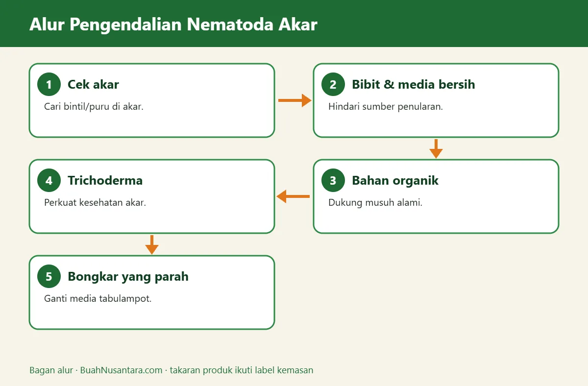 Bagan alur nematoda akar