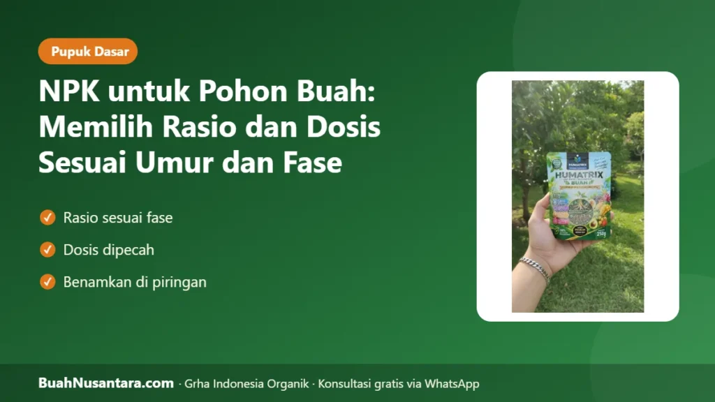 Npk untuk pohon buah
