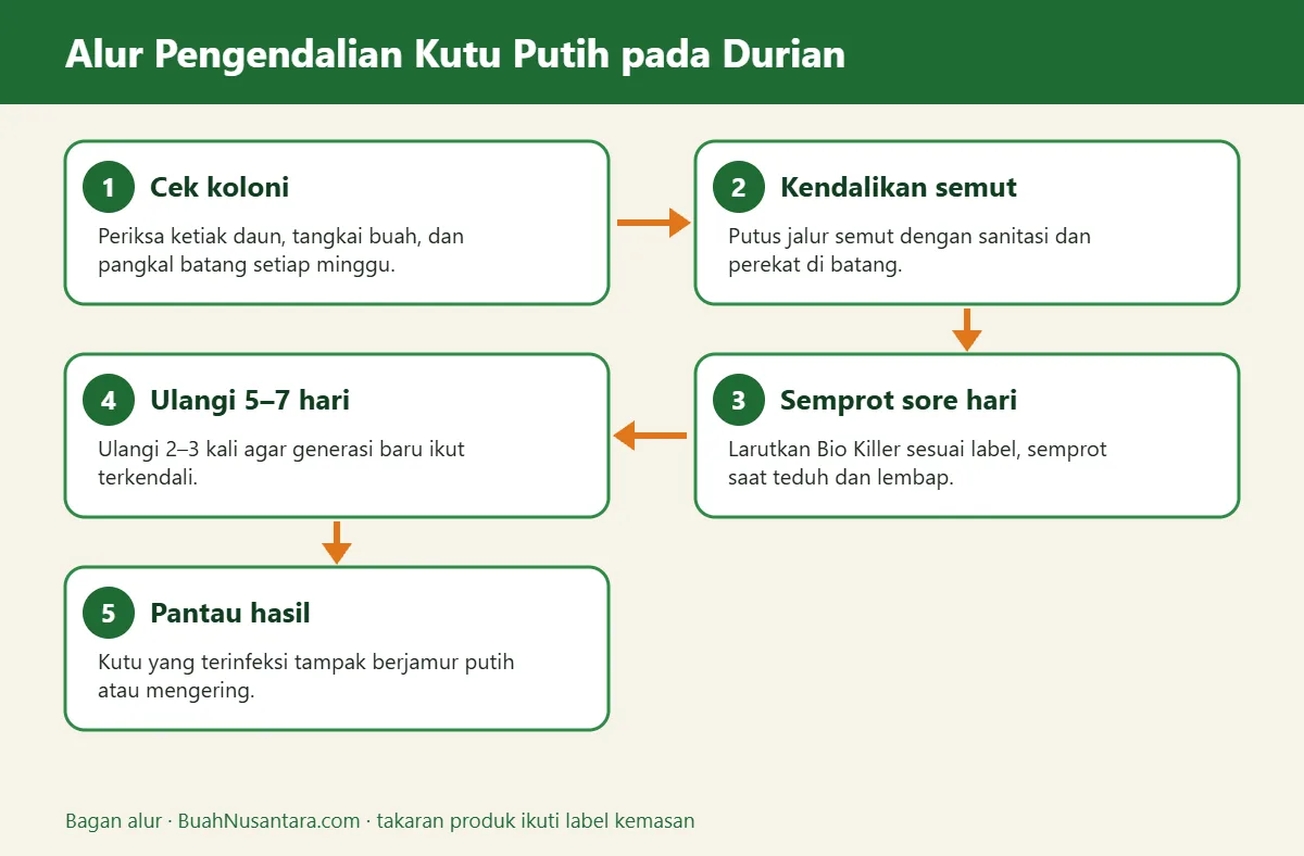 Bagan alur obat kutu putih durian